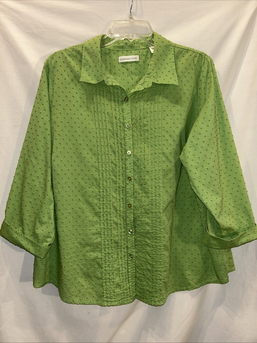 Coldwater Creek Woman 2x button Up shirt Green Swiss Dot Career Beach
